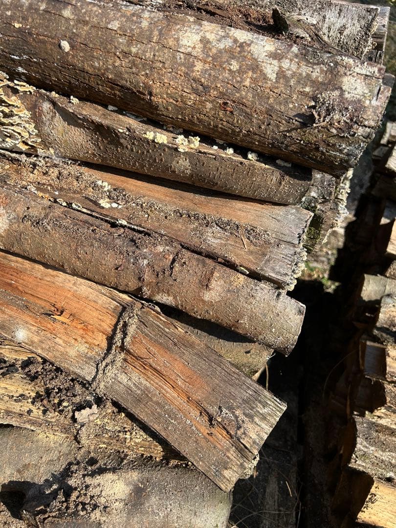 栃木県自然乾燥薪 薪ストーブ　雑木薪キャンプ用