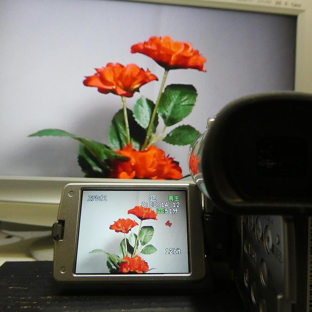 動作良好 キャノン DM-FV M100 MiniDVビデオカメラDVD化に最適