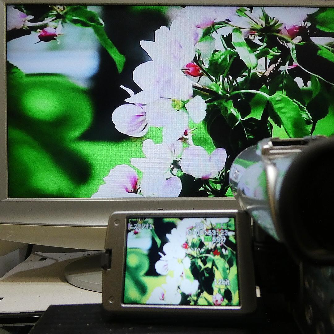 動作良好 キャノン DM-FV M100 MiniDVビデオカメラDVD化に最適