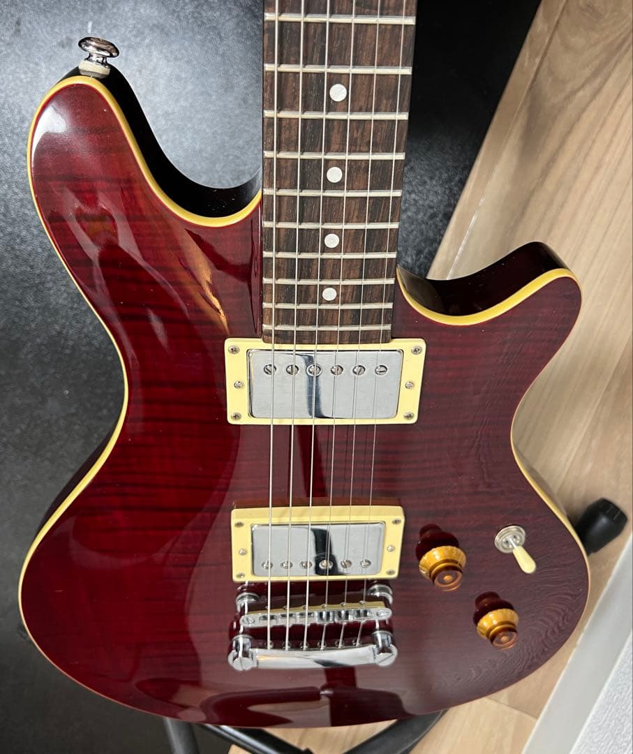 ESP GrassRoots G-PO-60 POTBERRY MyGO!!!!