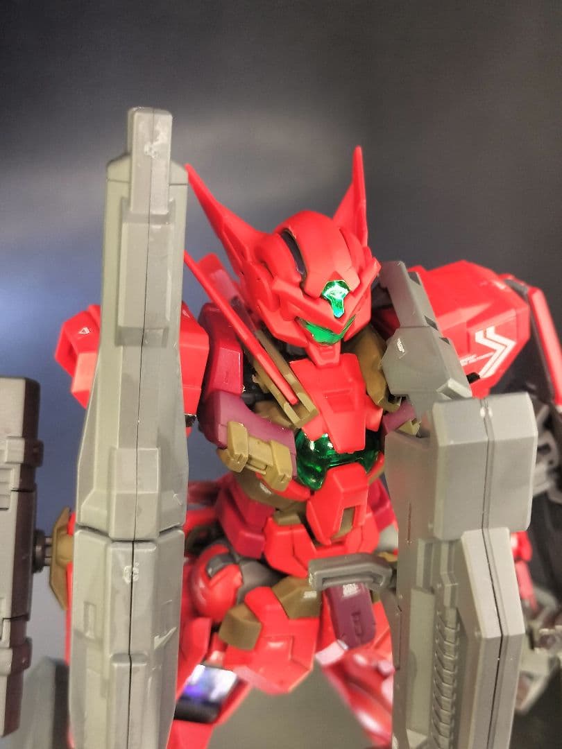 RG ガンダムアストレア タイプF 重武装型 塗装 完成品