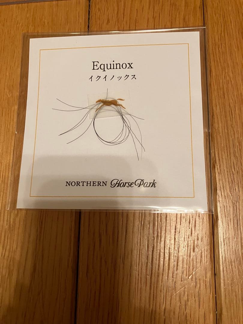 イクイノックス　2021 東スポ杯2歳C・ルメール騎手直筆サイン　鬣　たてがみ