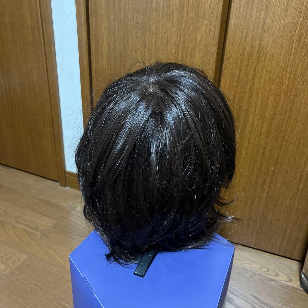 FONTANE ケアウィッグ ダークブラウン FS03M M35