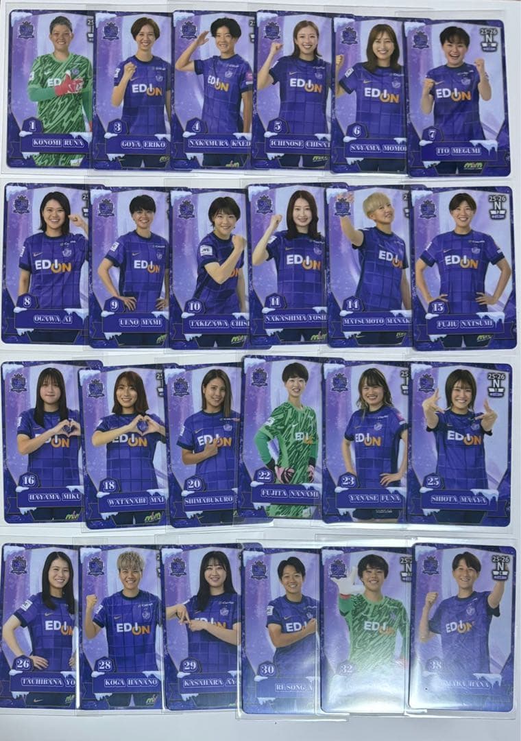 サンフレッチェ広島レジーナ オンサイトカード ノーマル 全24種 - メルカリ