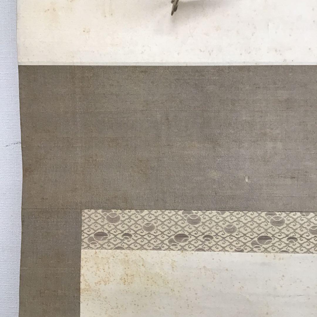 K茶道具 掛軸 「寒牡丹と雀」の図 岸燕作 配送用桐箱 S178KJ - メルカリ