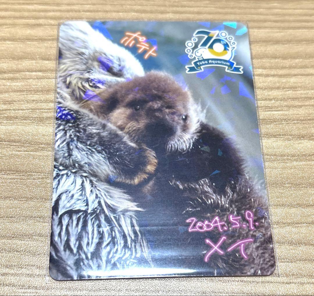 鳥羽水族館 70周年記念カード メイちゃん ポテト レア ラッコ
