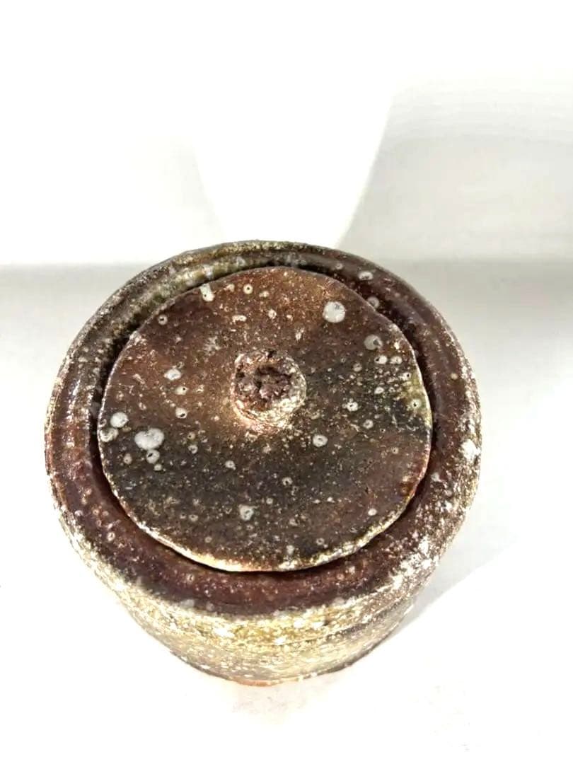 佐伯健剛 信楽焼 水指 水差し 直径16㎝ 高さ16㎝