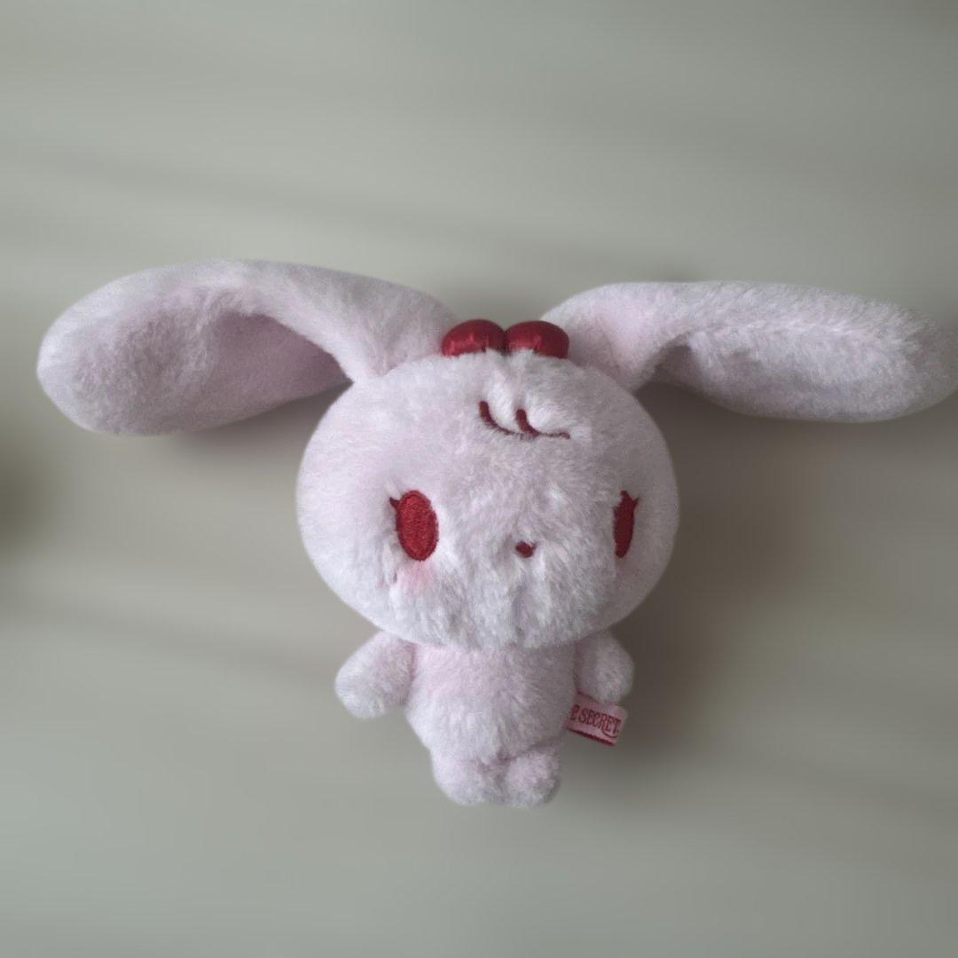 ano あのちゃん ゆるめるモ！時代のポスター B2サイズ①