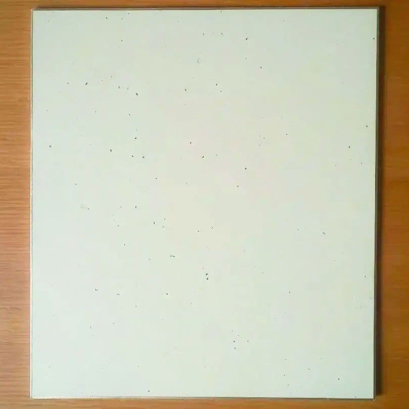 千鳥 直筆サイン入り色紙