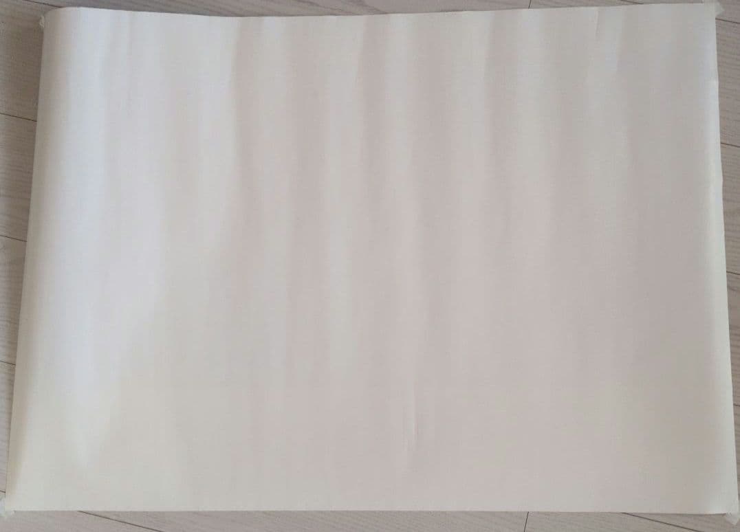 浜田省吾 レアポスター2枚セット