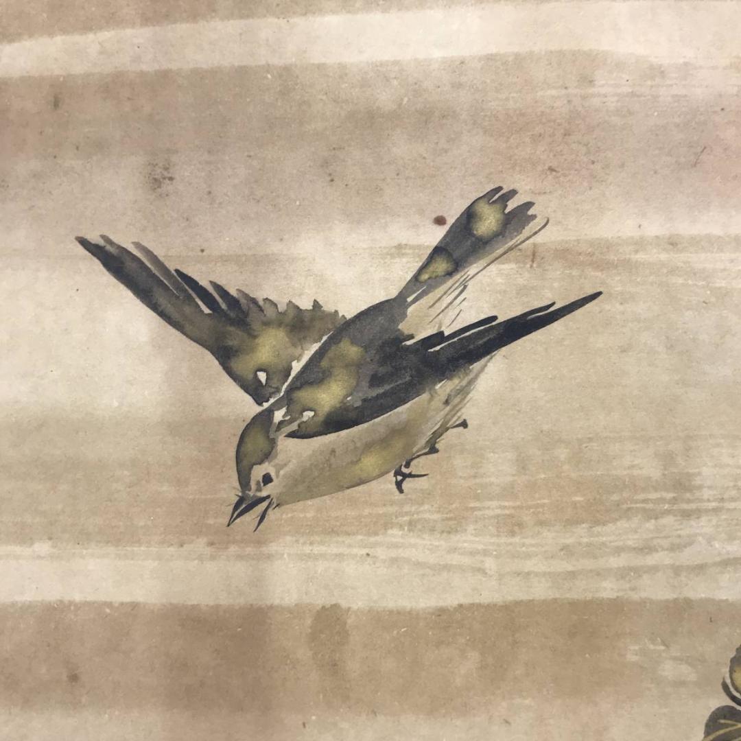 【模写】尾形光琳/花鳥図/横物/掛軸/名家伝来/AC-113