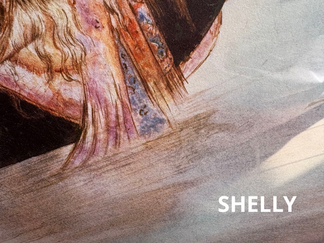 【希少】天野喜孝/旅路 (シリアルナンバー入)