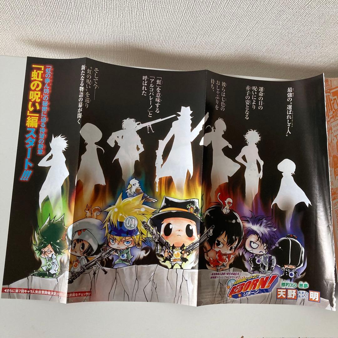 家庭教師ヒットマンREBORN! クリアファイル 沢田綱吉 ツナ 六道骸