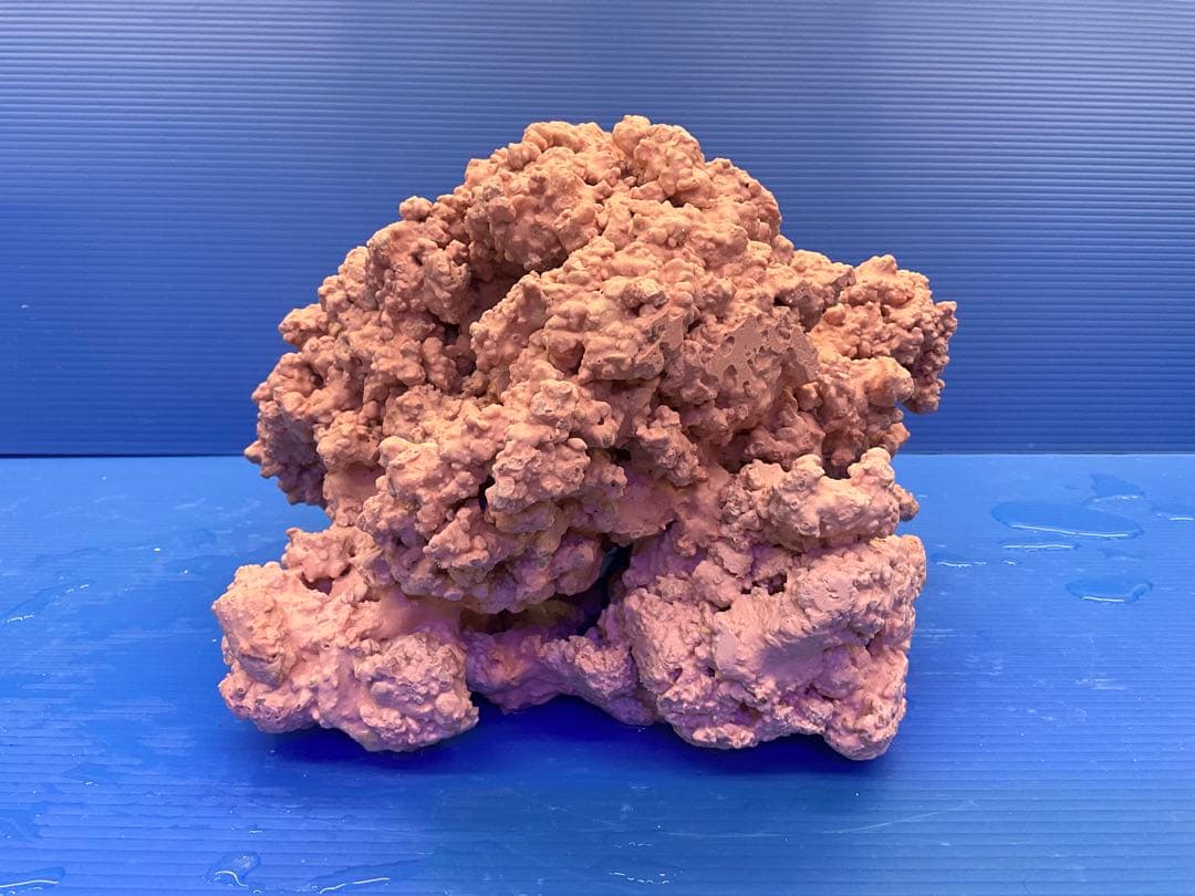 人工ライブロック　No.35 無害化処理済　⭕️在庫処分⭕️