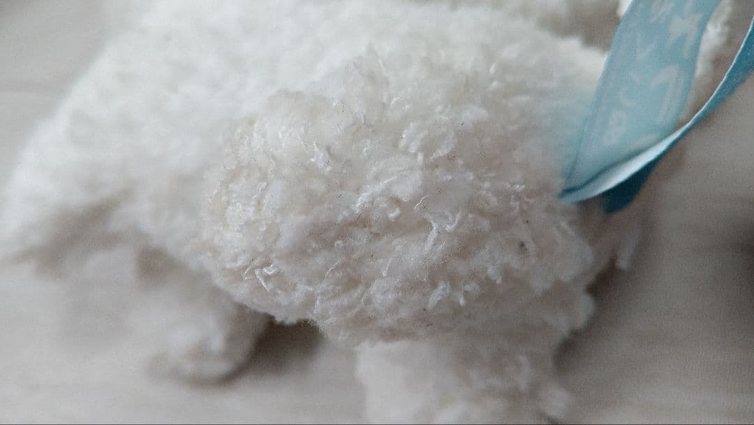 ソラネコ　サンエックス　ぬいぐるみ