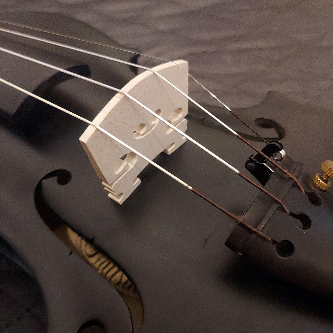 【美品】バイオリン Hallstatt V-12 BK 4/4 ケース付属