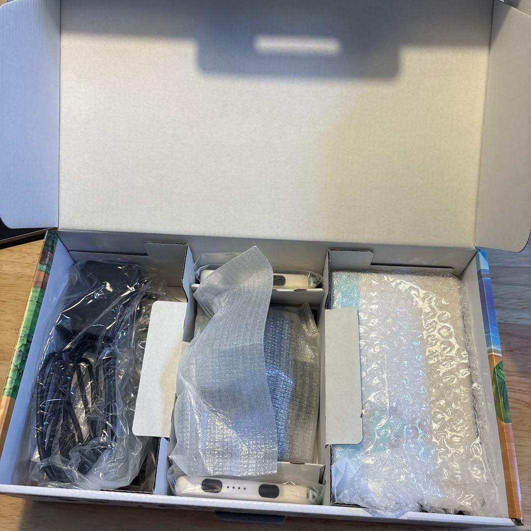 Nintendo Switch 本体 あつまれ どうぶつの森　エディション