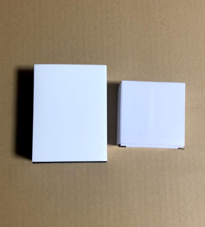 【未開封品】3Dクリスタル 神山 識 Summer Pockets 特典