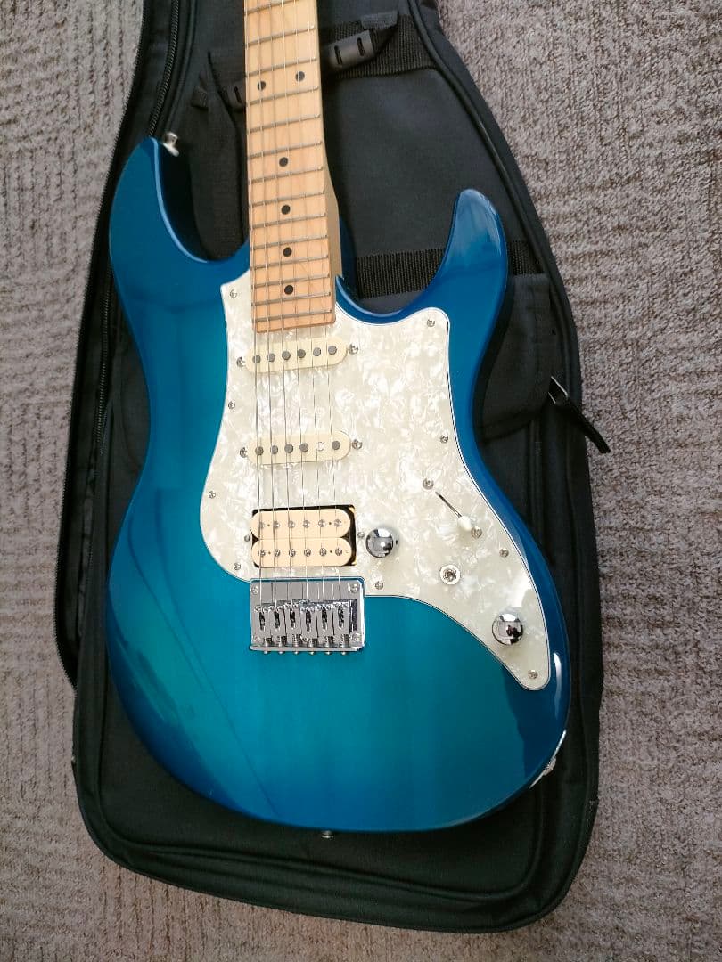 楽天市場】FgN(FUJIGEN) BOS2-M TBS 新品[フジゲン][Blue,ブルー,青