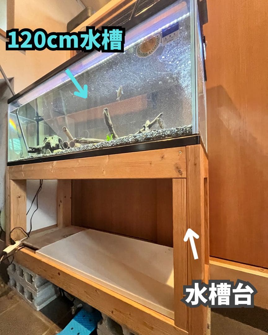 アクアリウム 水槽 フィルター 水槽台 その他 セット