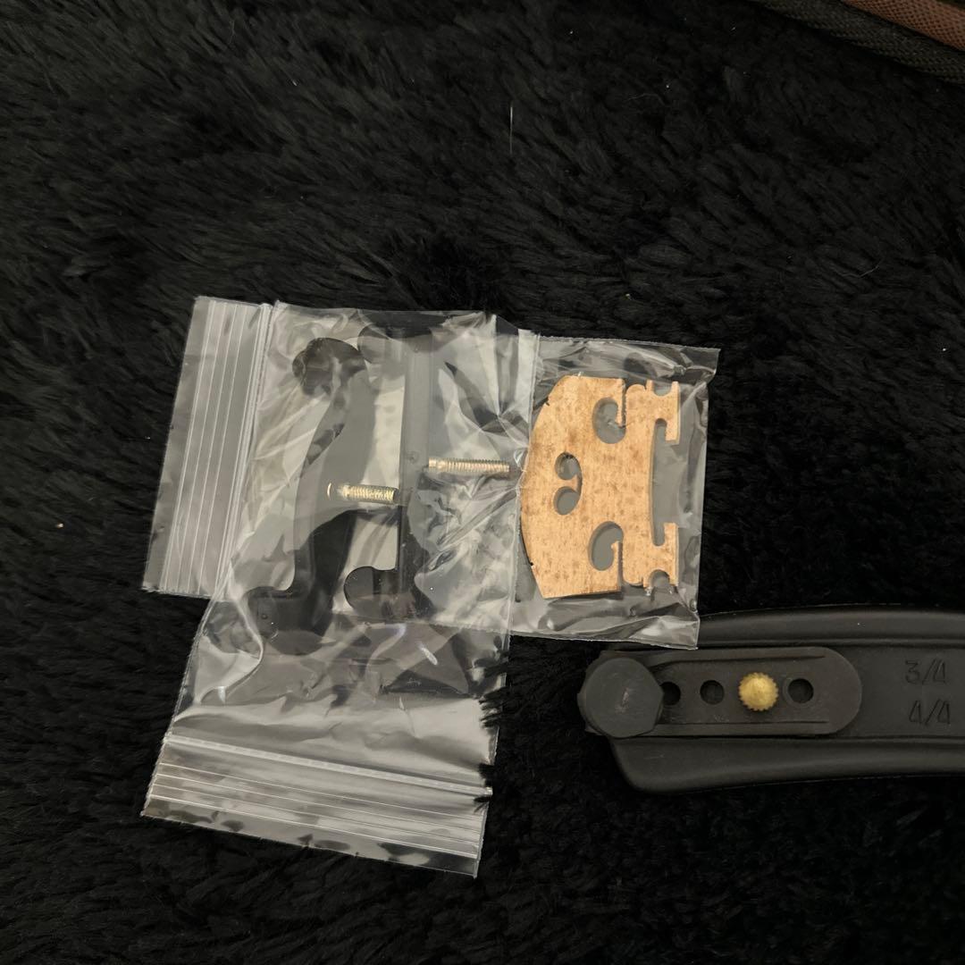 Carlo Giordano EV-202 エレキバイオリン 弦楽器 ケース付属