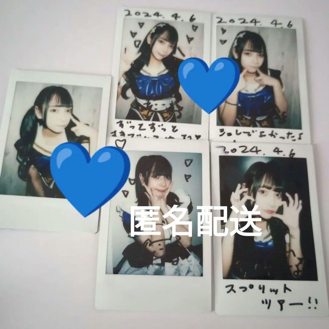 シュレ犬 もな チェキ5枚セット - メルカリ