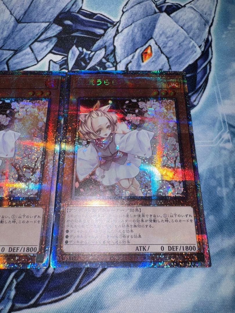 遊戯王　灰流うらら　プリズマ　3枚セット