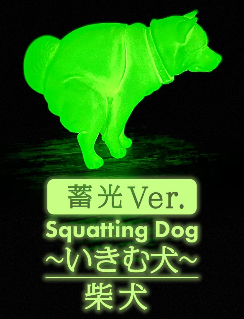 極美品】【蓄光ver.】Squatting いきむ犬 PVCフィギュア 柴犬 - メルカリ