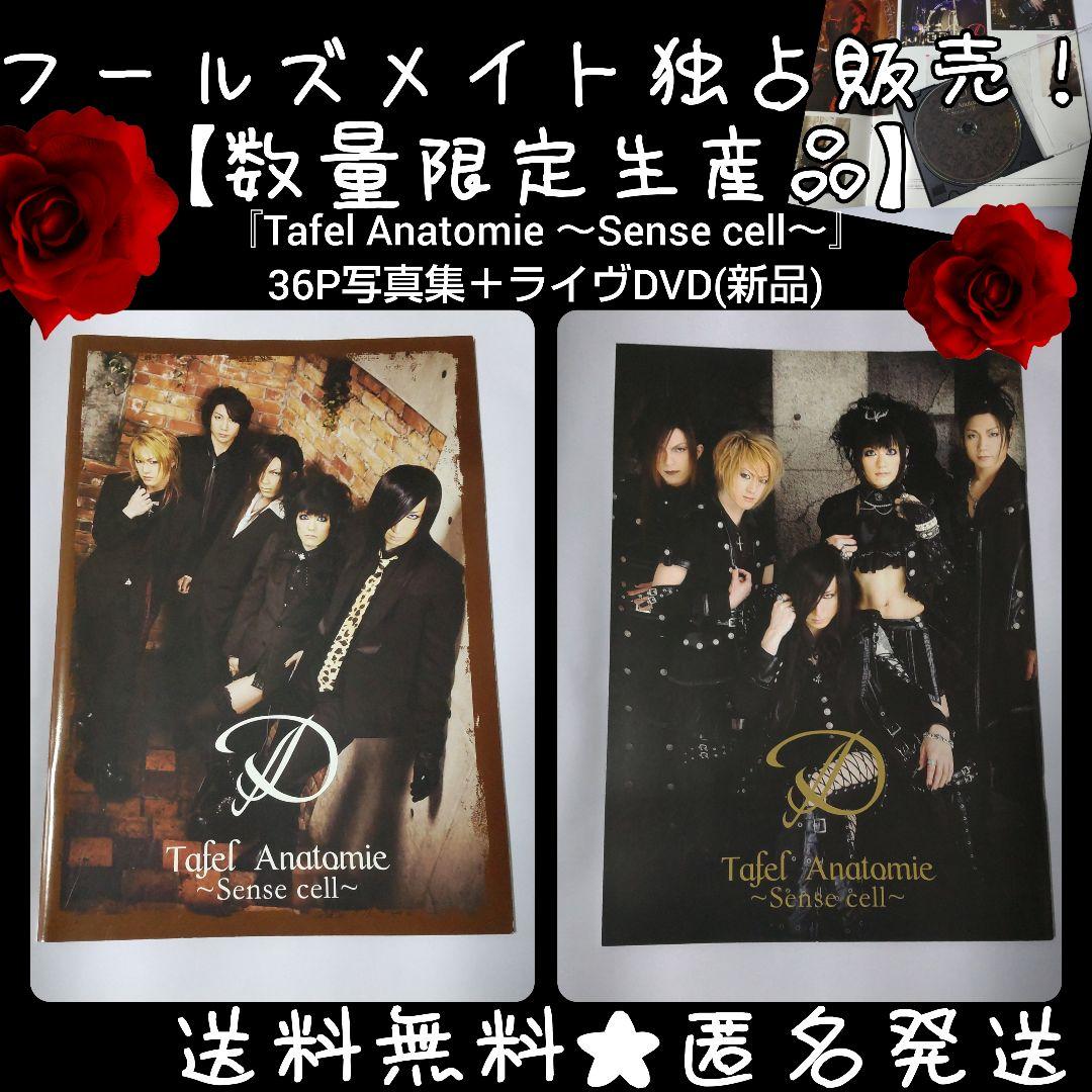 フールズメイト独占販売！Dディー【完全限定スペシャル】『Tafel Anatom フールズメイト独占販売！Dディー【完全限定スペシャル】『Tafel