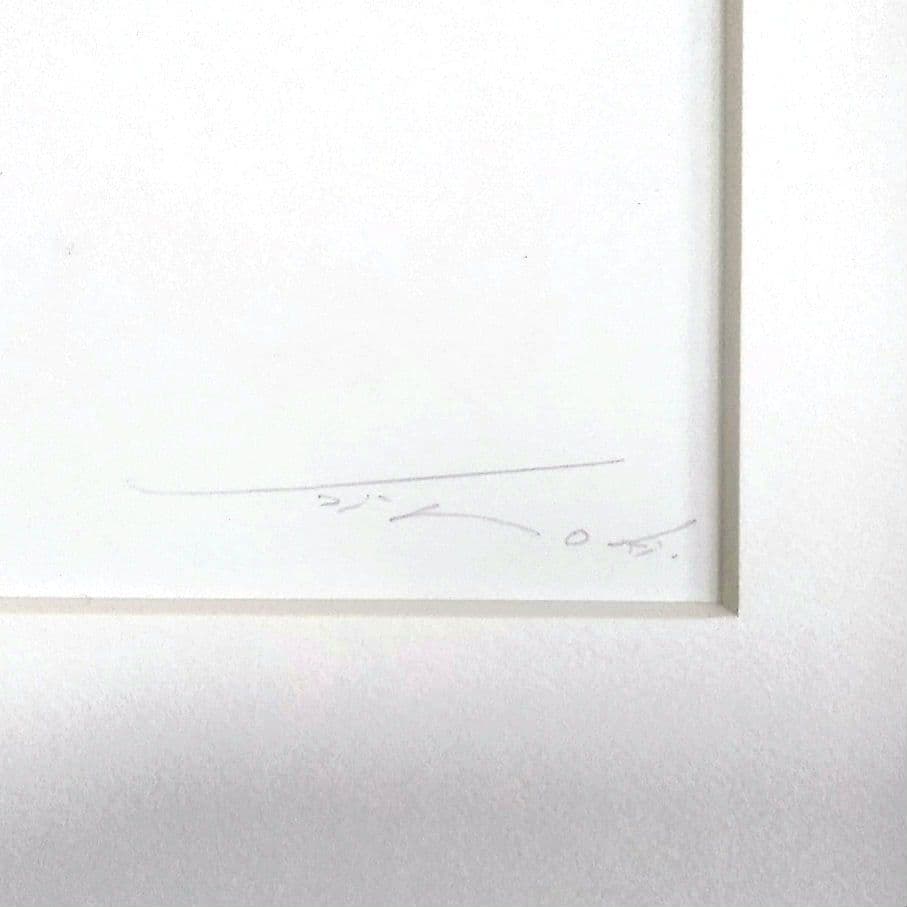 安冨洋貴（安富洋貴）人気の鉛筆画家 鉛筆画 希少 1点もの