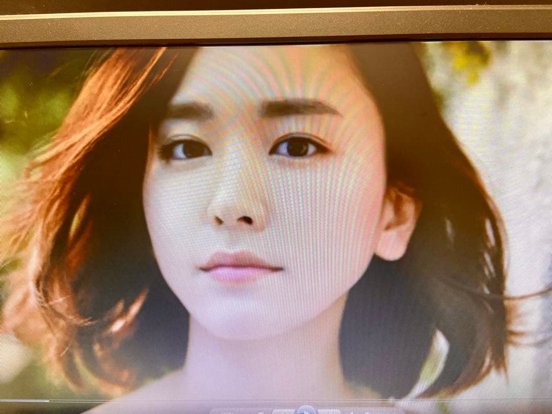 新垣結衣さん化粧品販促用店頭DVD