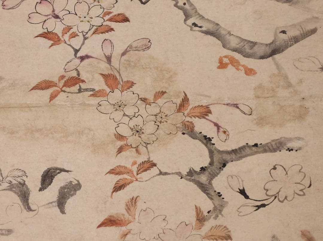 【模写】日本画 穂庵先生 人物花鳥 紙本 巻物 捲り デッサン 美人 MA852