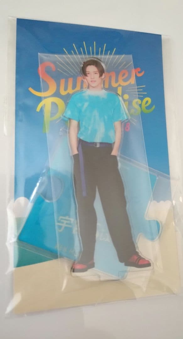 SnowMan 目黒蓮 アクスタ サマパラ2018 - メルカリ