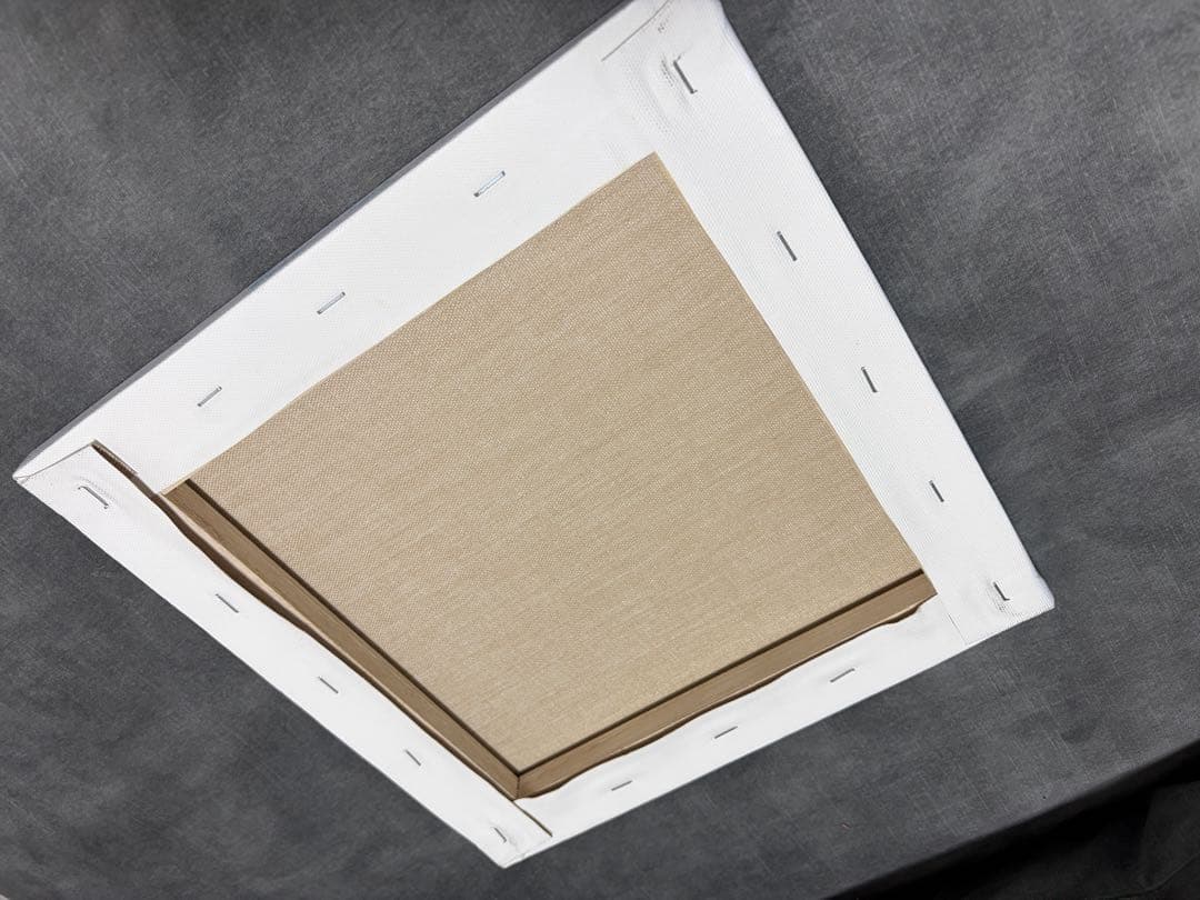 sen 原画 backside works kyne 現代アート キャンバス 美術品