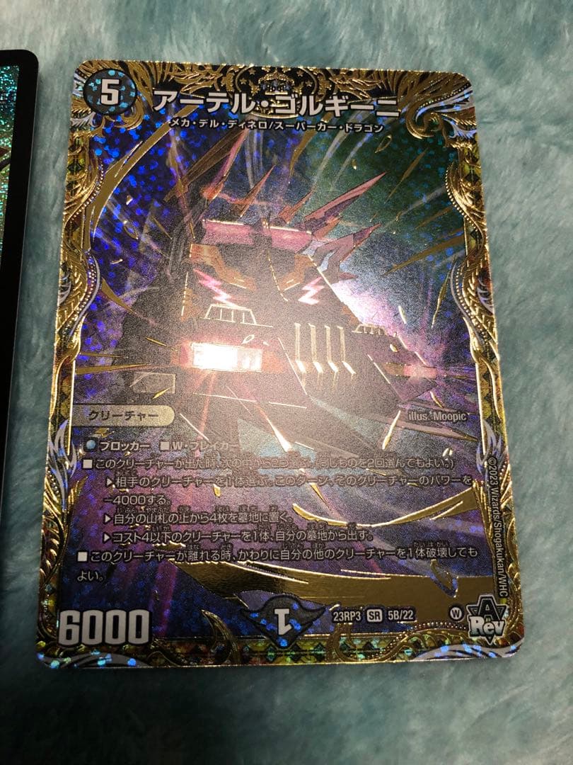 アーテルゴルギーニbシク