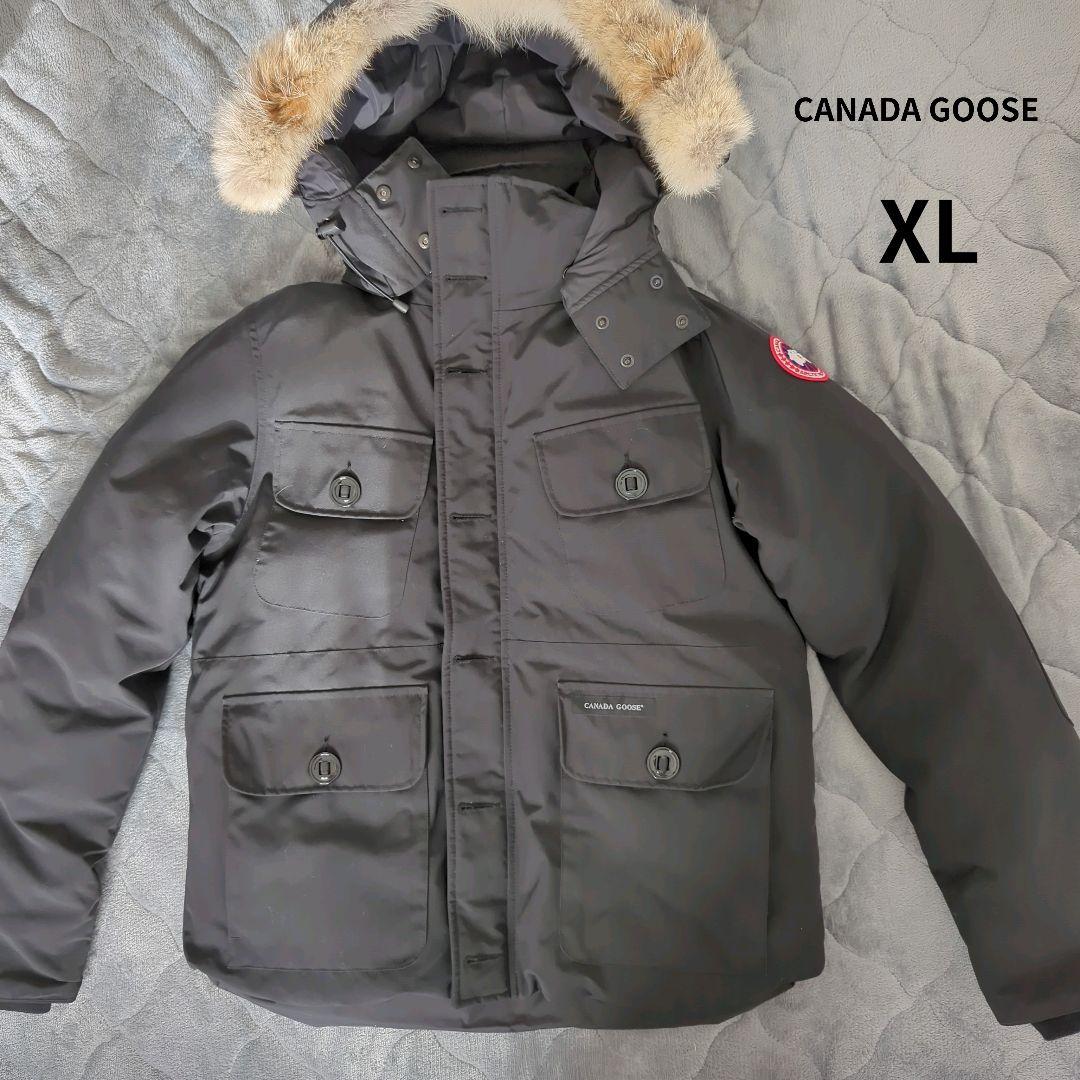 ADAソーラーRGB ADAプロシザースショートADAプロシザースウェーブ 魚