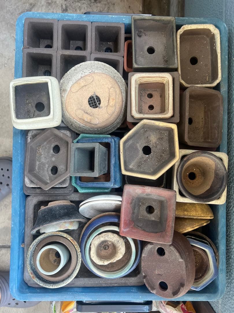 盆栽鉢 時代 陶翠 豆鉢彩交趾黒泥丸鉢 豆盆栽鉢 豆盆栽鉢 希少時代 陶