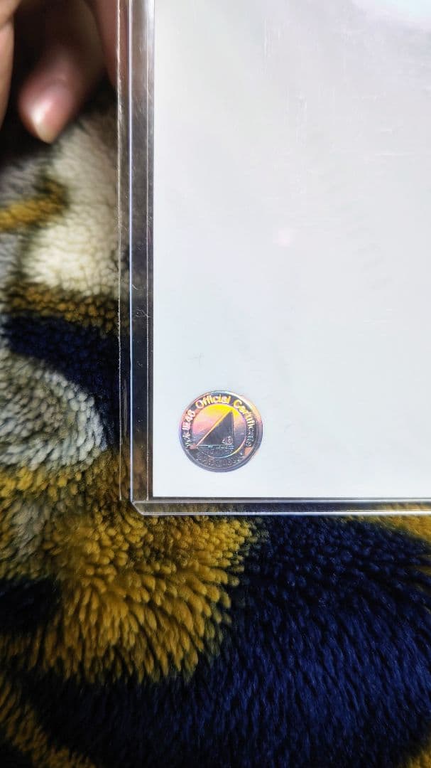 賀喜遥香　生写真 2023 直筆