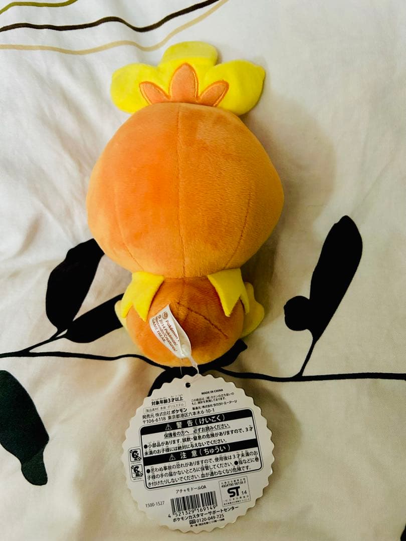 アチャモドール