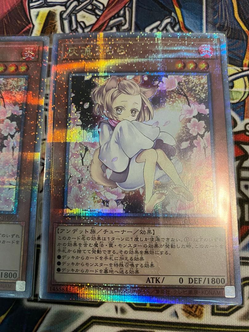 遊戯王　灰流うらら　絵違い　25thシークレット　クオシク　3枚