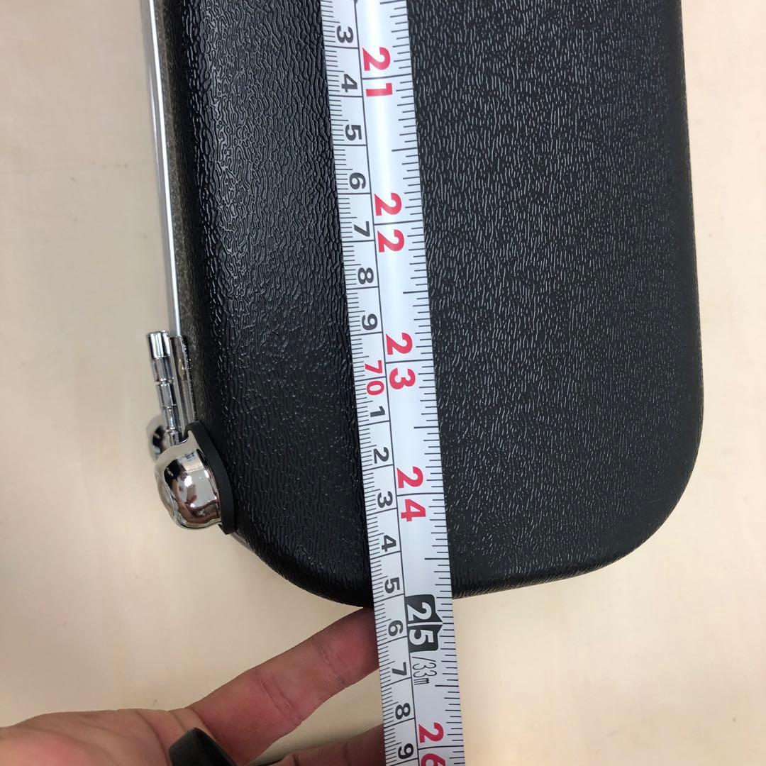 PLAY TECH プレイテック F型 マンドリン ハードケース付き