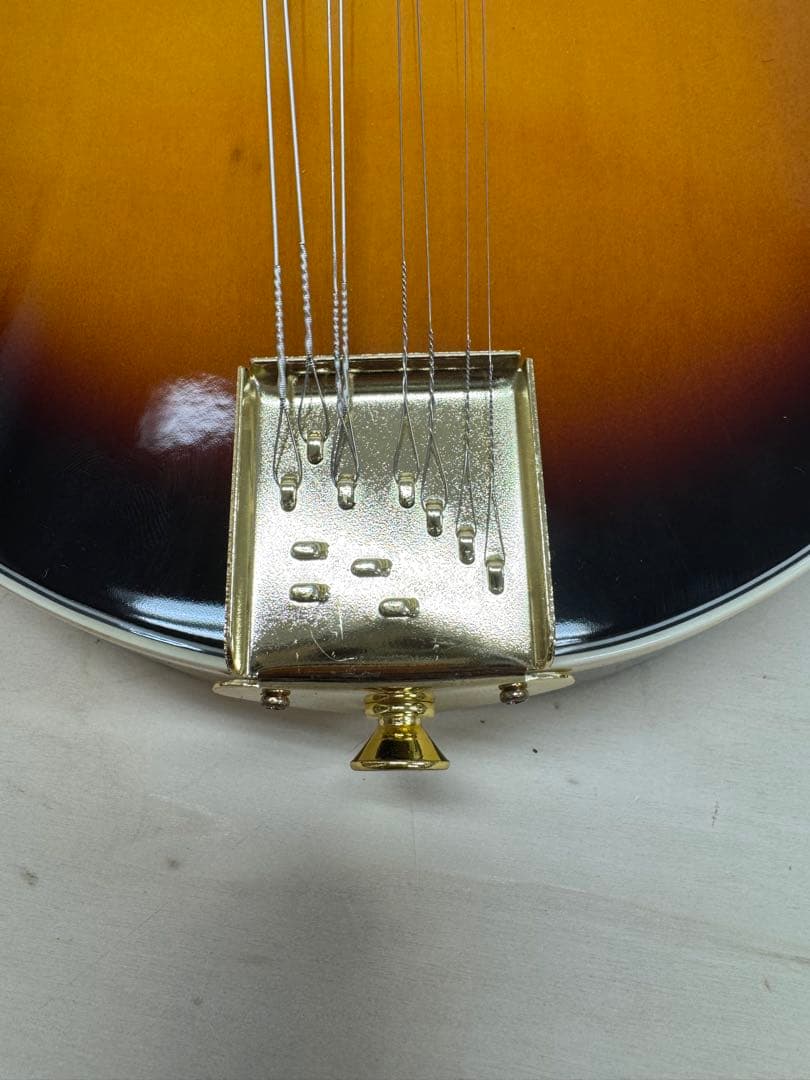 PLAY TECH プレイテック F型 マンドリン ハードケース付き