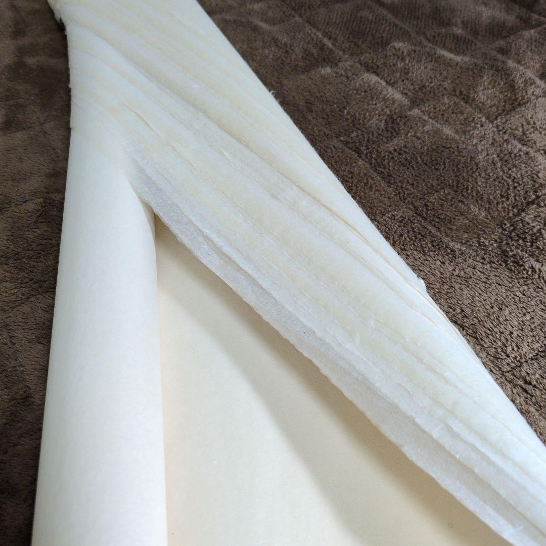 石州雁皮古漉き2２枚