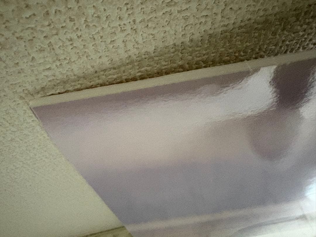 川口春奈 パネル