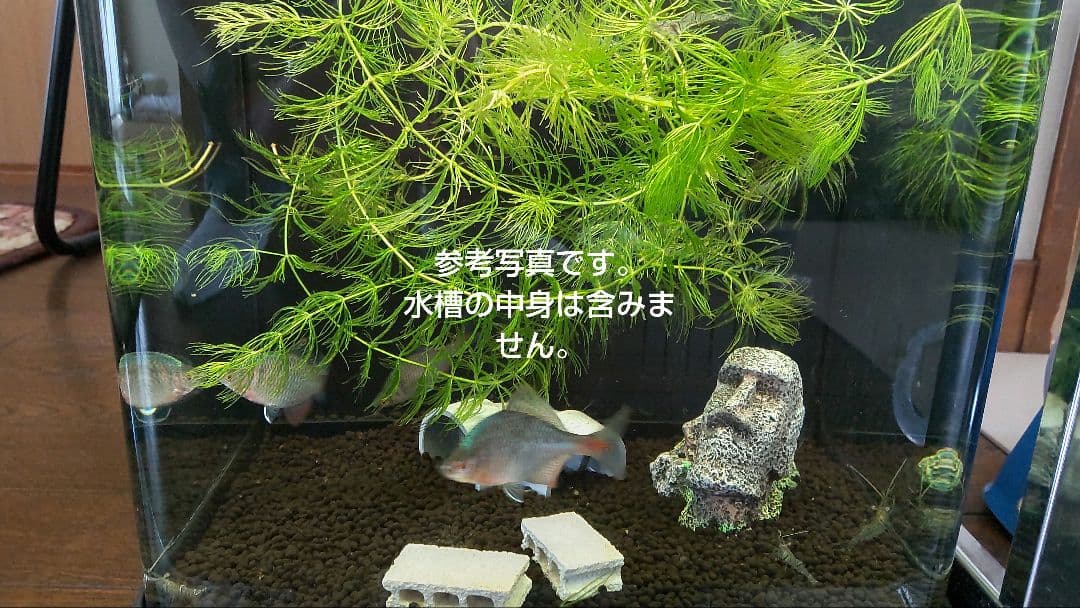 NISSO ROOM-MATE901 ニッソー ルームメイト901 - メルカリ