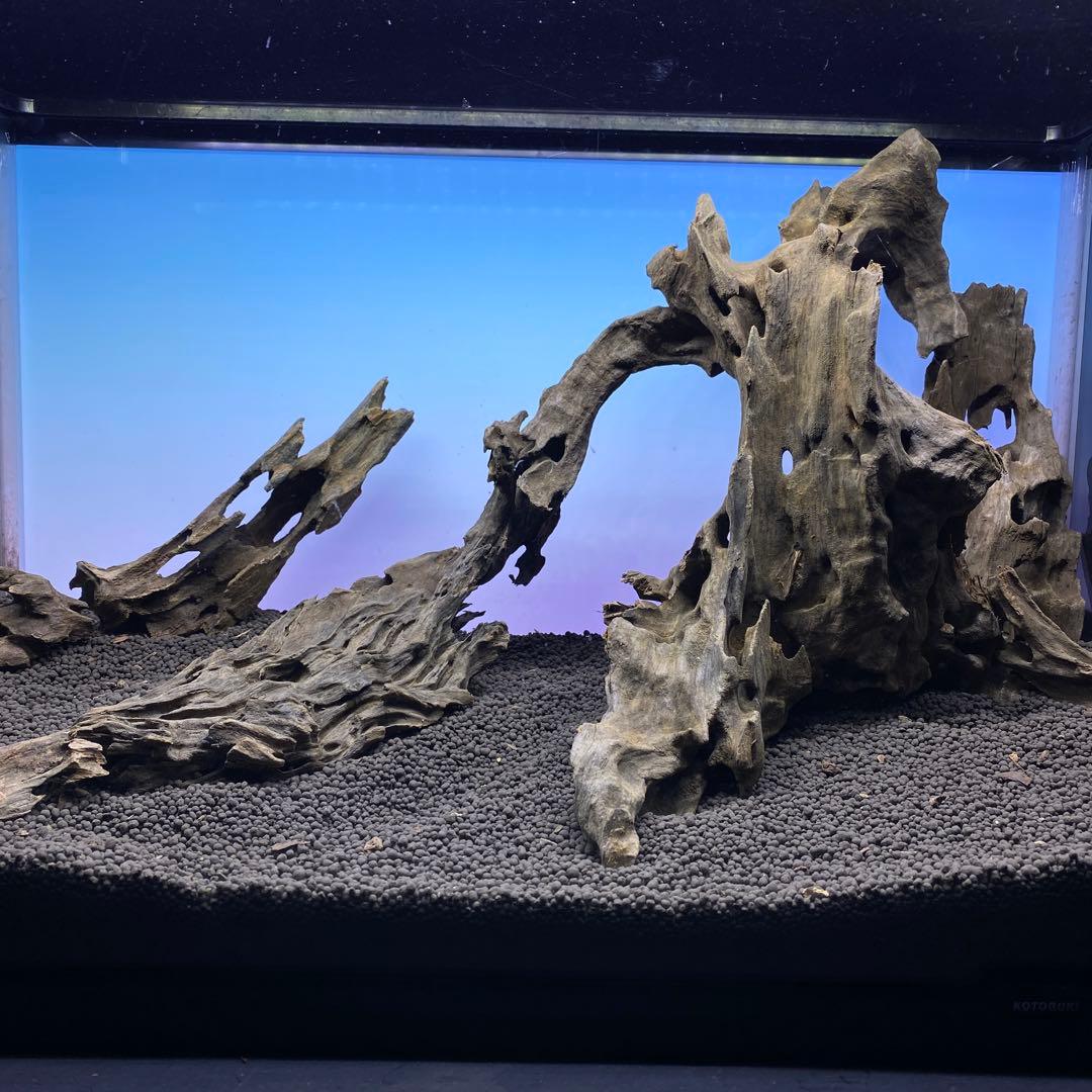 MSRW-6552 スリムウッド4本セット 60cm水槽用流木 アクアリウム MMW