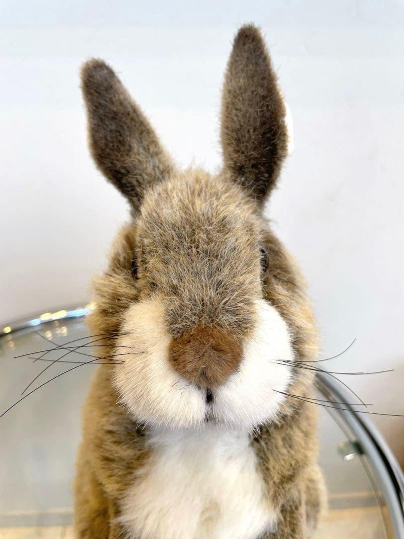 ☆美品☆KOSEN ケーセン社　ぬいぐるみ　立ちうさぎ