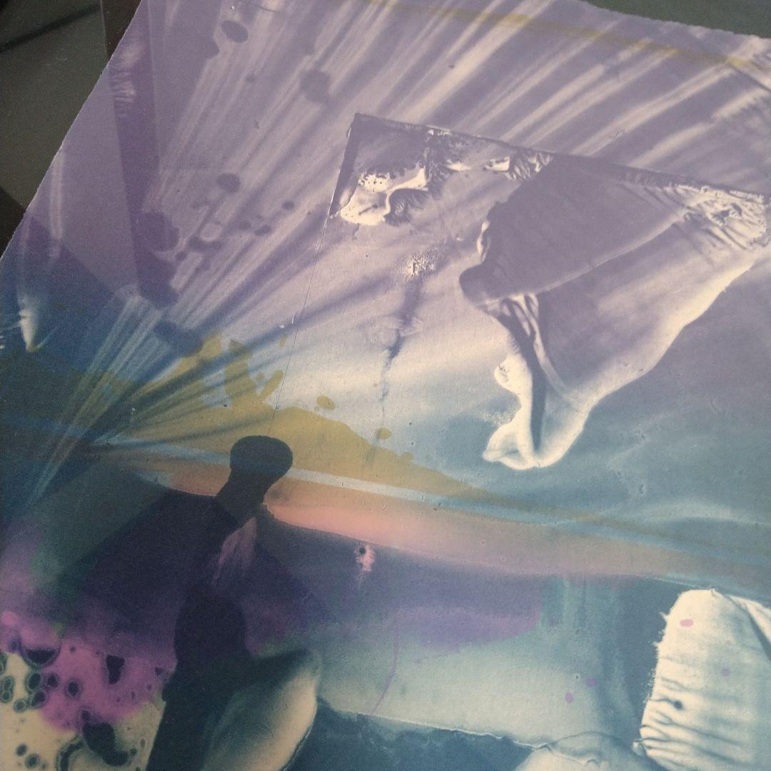 紫綬褒章受賞 【加納光於】 額装66×79cm 限定版 - メルカリ