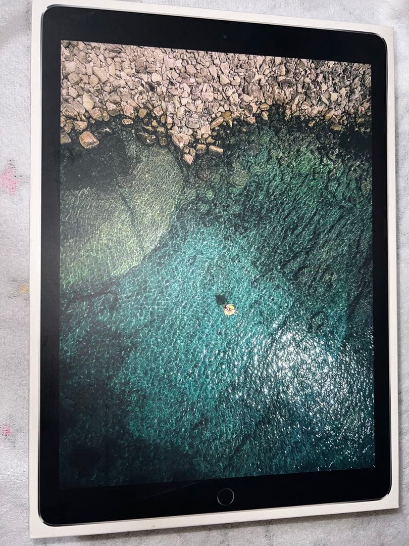 iPad Pro 12.9インチ(第二世代)256G スペースグレイおまけ付き