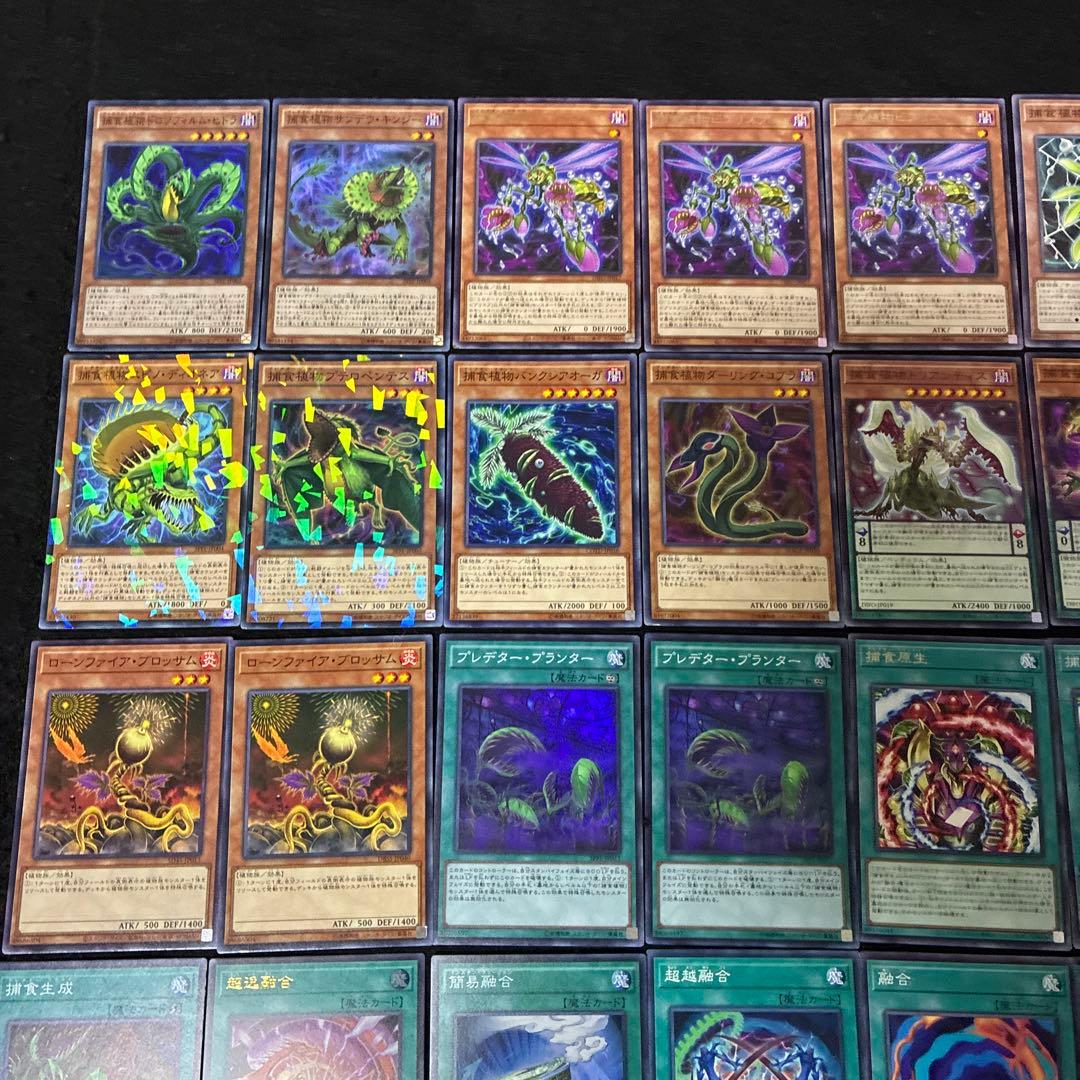 【即日発送】 遊戯王 «捕食植物(新規有)» 構築済みデッキ 85枚 日版